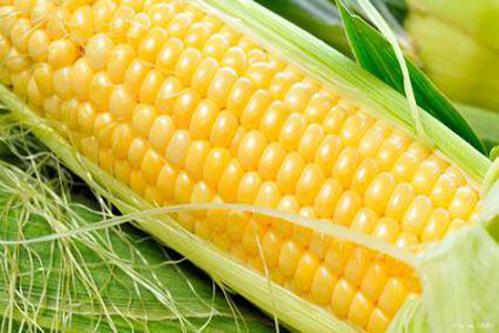 Corn